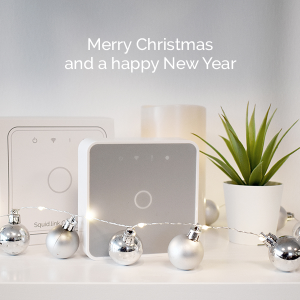 Merry Christmas from Develco Products